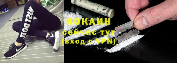 амф Кулебаки