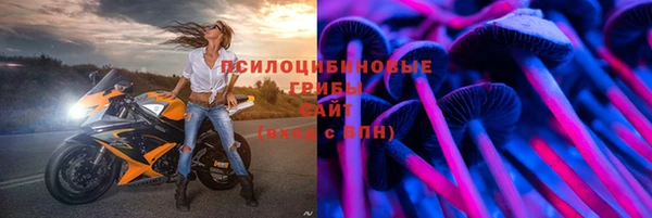 хмурый Кукмор