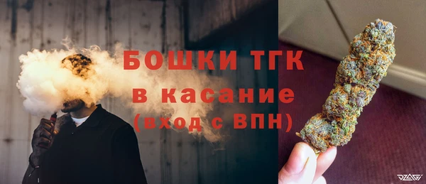 амф Кулебаки