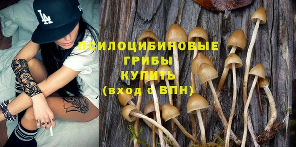 хмурый Кукмор