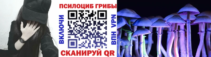 Псилоцибиновые грибы MAGIC MUSHROOMS  Купить  Армянск 